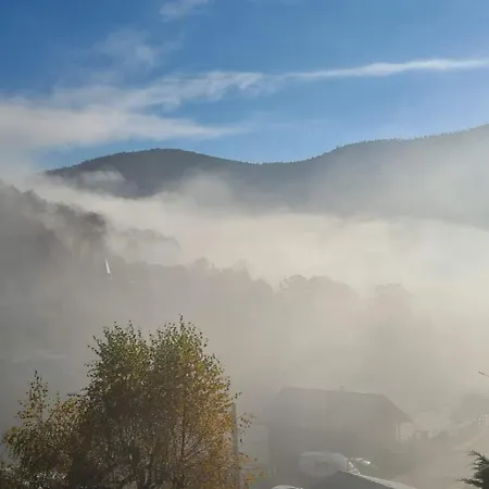 Maison 3 Etoiles Hautes Vosges Vue Directe Sur La Montagne * Cornimont